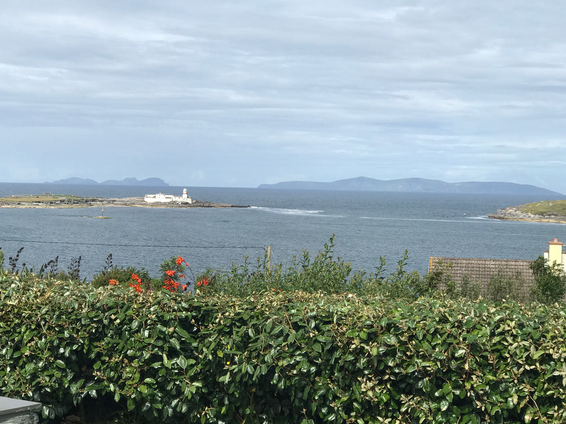 Chapter 4: The Story Behind My Wild Atlantic Irish Linen Line